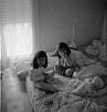 ...qui ne font pas leur sieste !

</i>Stereo Realist 3.5
© Jiyoné 2009<i>